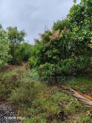 காணி விற்பனைக்கு - மட்டக்களப்பு புதுக்குடியிருப்பு