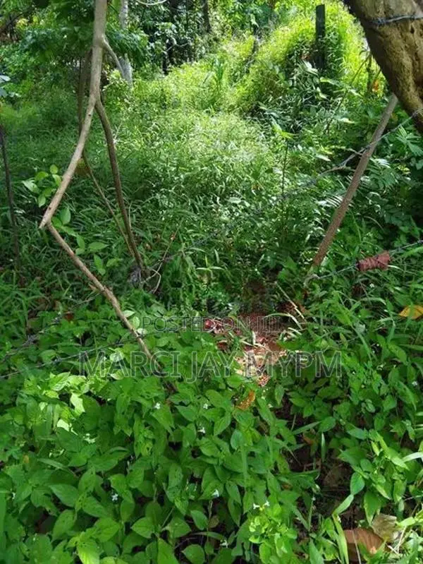 70p Land Facing Kandy/Matale Road