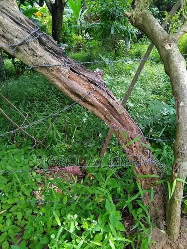 70p Land Facing Kandy/Matale Road