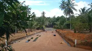 ගෝනපිනුවල මජුවාන පුධාන පාරට මුහුණලා