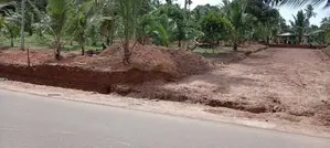 ගෝනපිනුවල මජුවාන පුධාන පාරට මුහුණලා