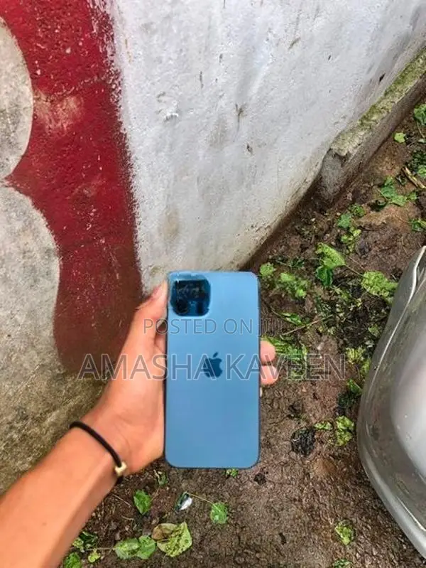 Apple iPhone 12 Pro (Used)