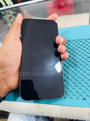Apple iPhone 13 Pro (Used)