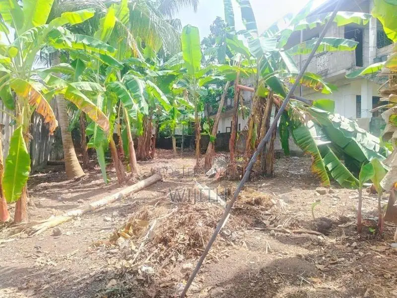 Land For Sale IN Panipitiya Boralla Road Pannipitiya