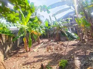 Land For Sale IN Panipitiya Boralla Road Pannipitiya