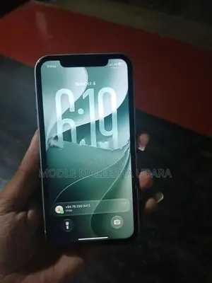 Apple iPhone 11 (Used)