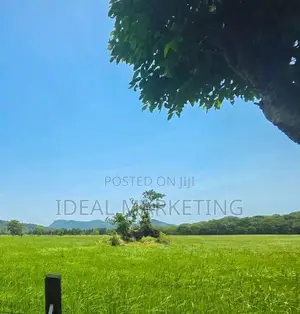Income-Generating Land for Sale - Girithale, Bakamuna Town (EM1217)