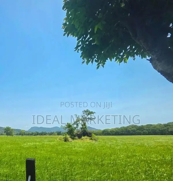 Income-Generating Land for Sale - Girithale, Bakamuna Town (EM1217)