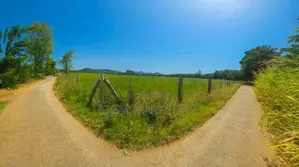 Income-Generating Land for Sale - Girithale, Bakamuna Town (EM1217)