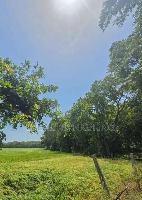 Income-Generating Land for Sale - Girithale, Bakamuna Town (EM1217)