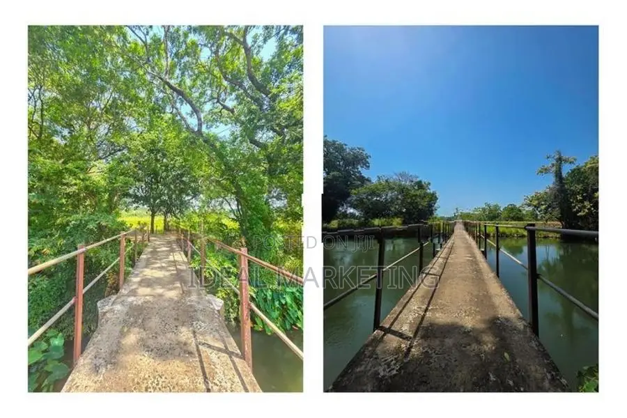 Income-Generating Land for Sale - Girithale, Bakamuna Town (EM1217)