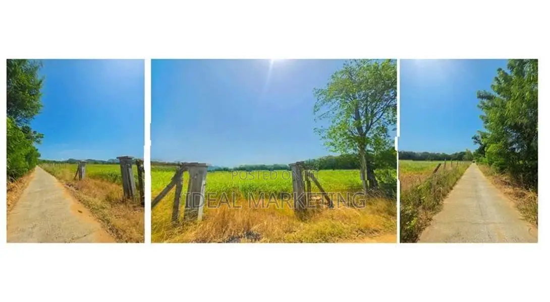Income-Generating Land for Sale - Girithale, Bakamuna Town (EM1217)