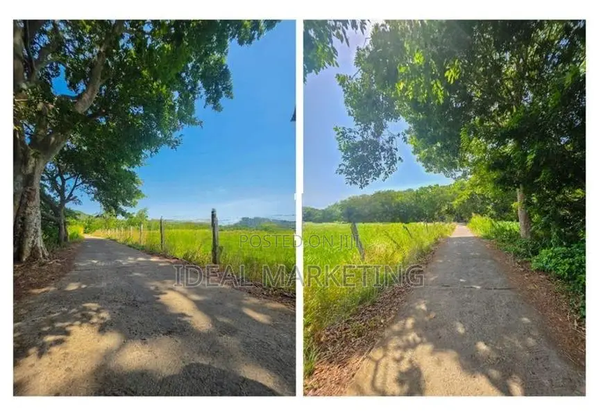 Income-Generating Land for Sale - Girithale, Bakamuna Town (EM1217)