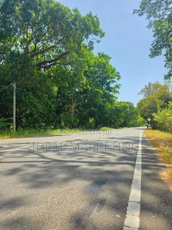 Income-Generating Land for Sale - Girithale, Bakamuna Town (EM1217)