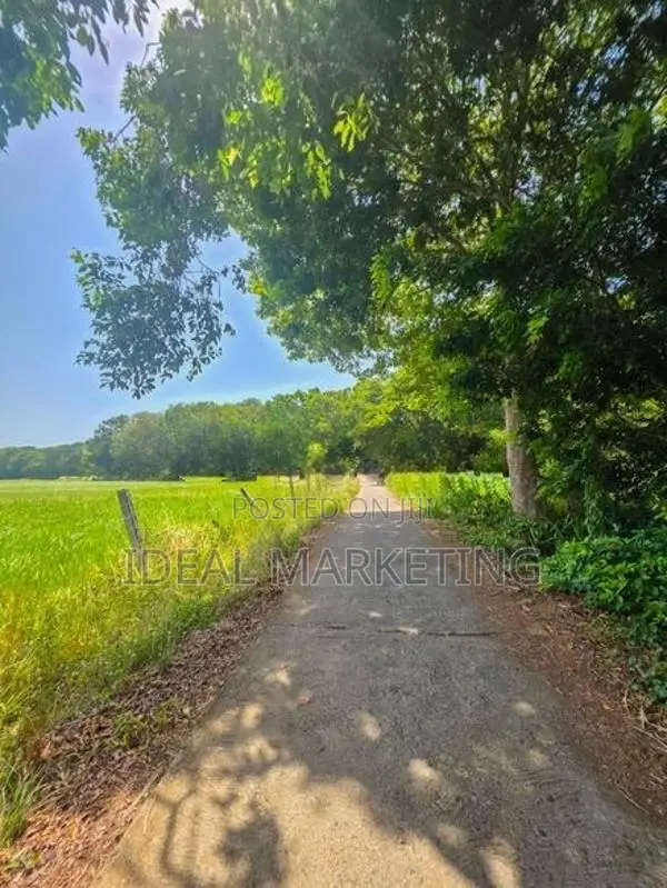 Income-Generating Land for Sale - Girithale, Bakamuna Town (EM1217)