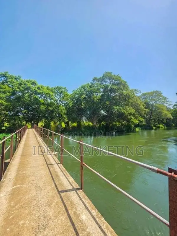 Income-Generating Land for Sale - Girithale, Bakamuna Town (EM1217)