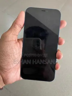 Apple iPhone 12 (Used)
