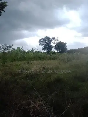 Land for Sale in තණමල්විල
