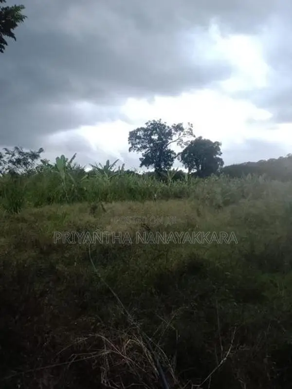 Land for Sale in තණමල්විල