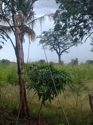 Land for Sale in තණමල්විල
