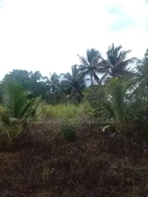 Land for Sale in තණමල්විල