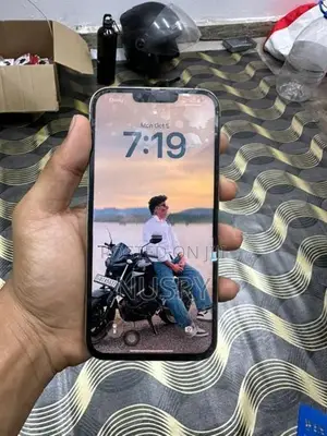 Apple iPhone 13 Pro Max (Used)