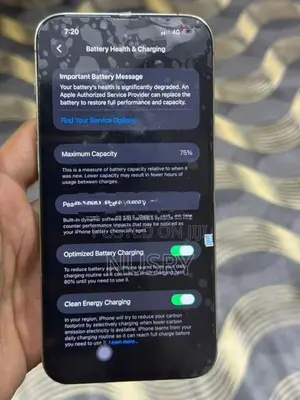 Apple iPhone 13 Pro Max (Used)