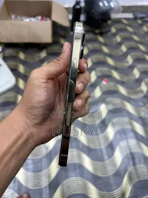 Apple iPhone 13 Pro Max (Used)