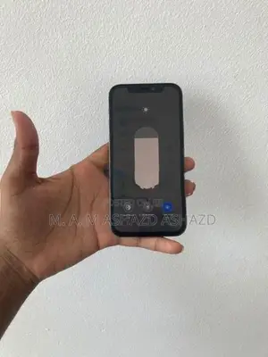 Apple iPhone 12 Pro (Used)