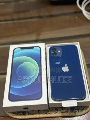 Apple iPhone 12 (Used)