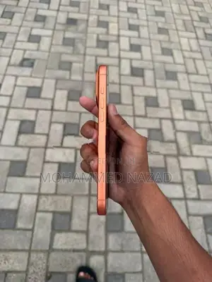 Apple iPhone 17 Pro Max (Used)