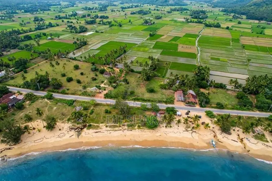 Dickwella Beach Tourism Best Land