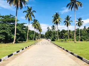Dickwella Beach Tourism Best Land