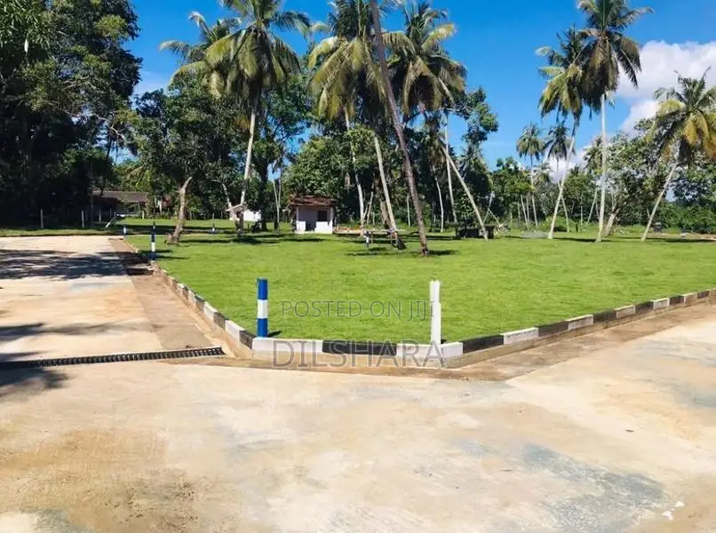 Dickwella Beach Tourism Best Land
