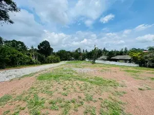 Udugampola 244 බස් පාරට ඇවිදින දුරින් බිම්කොටස් කිහිපයක් විකිණීමට