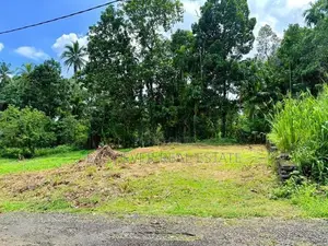 වැලිවේරිය නගරයට ආසන්නයෙන් අගනා නේවාසික ඉඩම විකිණීමට