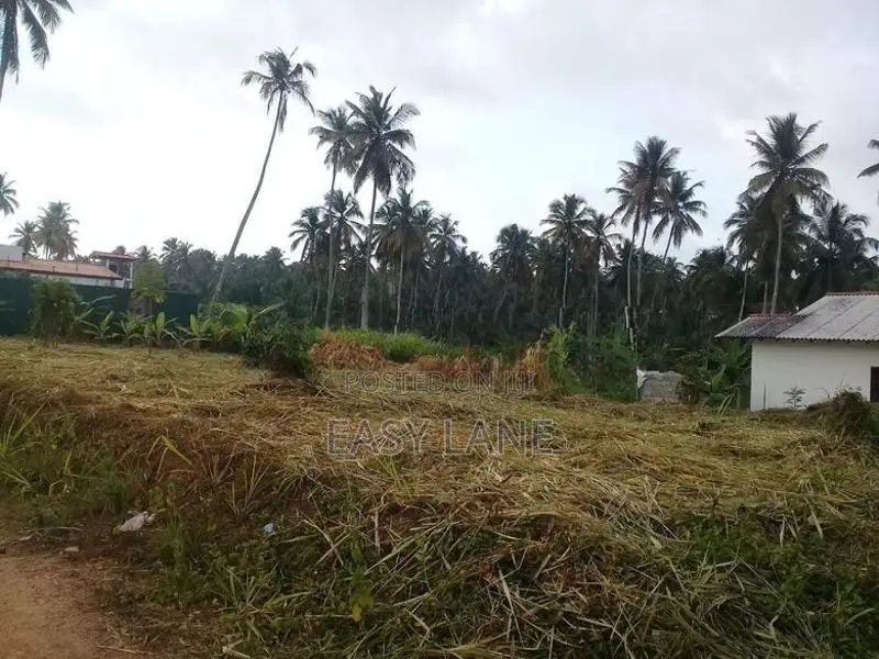 වේයන්ගොඩ (ප්‍රයිම් ලෑන්ඩ්) වෙන්දේසි වත්තෙන් අගනා බිම් කොටස් දෙකක්