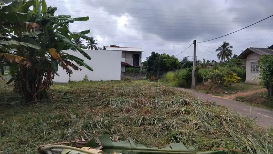 වේයන්ගොඩ (ප්‍රයිම් ලෑන්ඩ්) වෙන්දේසි වත්තෙන් අගනා බිම් කොටස් දෙකක්