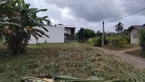 වේයන්ගොඩ (ප්‍රයිම් ලෑන්ඩ්) වෙන්දේසි වත්තෙන් අගනා බිම් කොටස් දෙකක්
