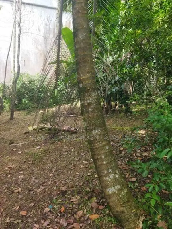 Land For Sale In Kalalgoda Talawatugoda