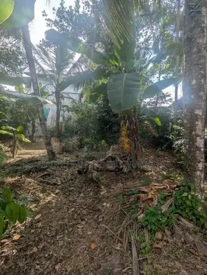 Land For Sale In Kalalgoda Talawatugoda