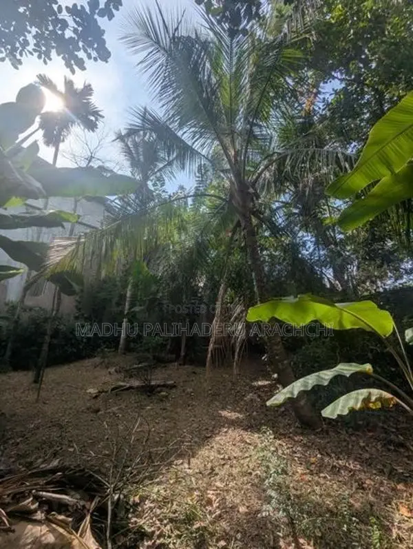 Land For Sale In Kalalgoda Talawatugoda