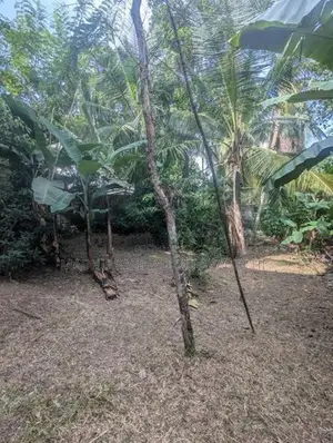 Land For Sale In Kalalgoda Talawatugoda
