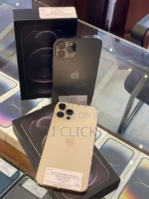 Apple iPhone 12 Pro 256GB (Used)
