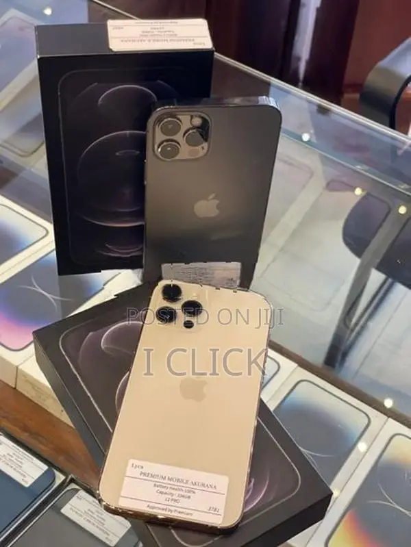 Apple iPhone 12 Pro 256GB (Used)