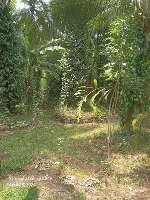 185 Perches Land With House For Sale In Meegahakiula Badulla