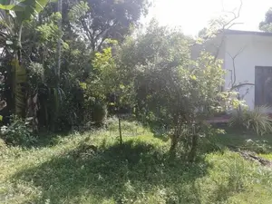 Land for Sale - Arawwala