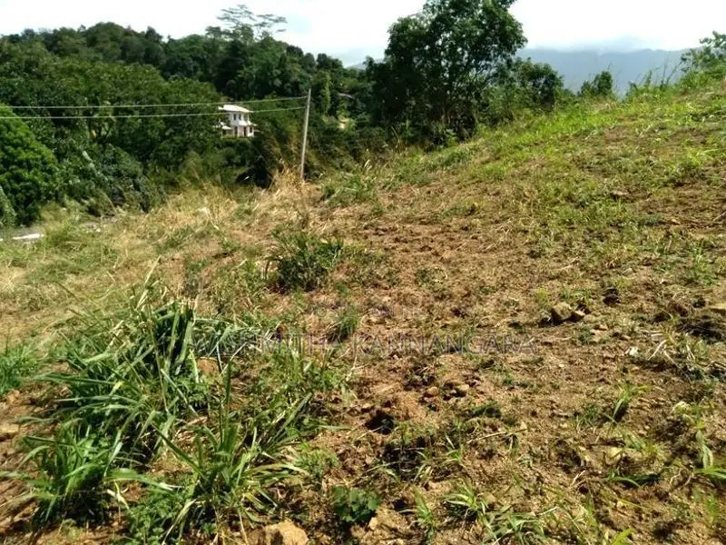 Land For Sale In Balangoda