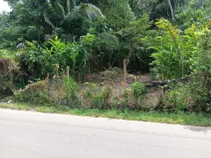 Land For Sale – Hapugala, Galle