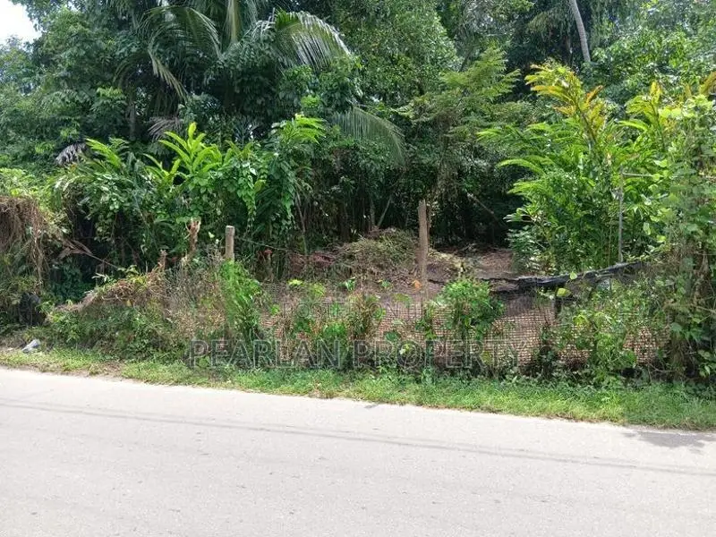 Land For Sale – Hapugala, Galle